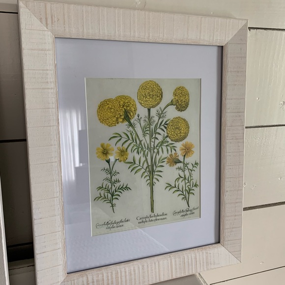 Magnolia Art Vintage Garden Wall Art Set Poshmark